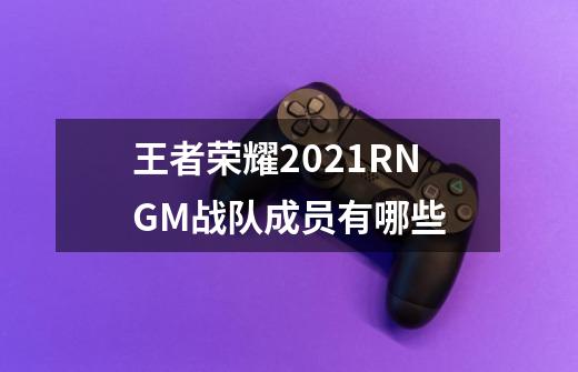 王者荣耀2021RNG.M战队成员有哪些-第1张-游戏信息-龙启网