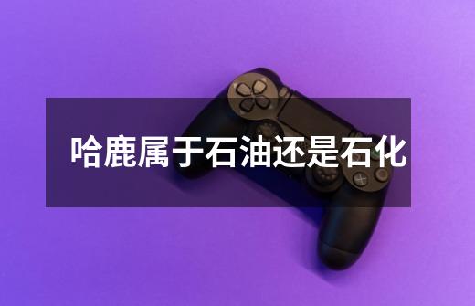 哈鹿属于石油还是石化-第1张-游戏信息-龙启网