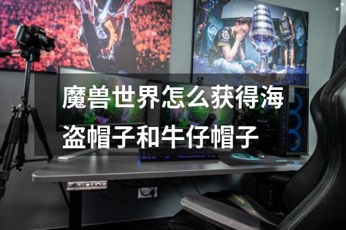 魔兽世界怎么获得海盗帽子和牛仔帽子-第1张-游戏信息-龙启网
