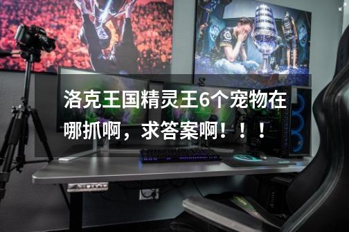 洛克王国精灵王6个宠物在哪抓啊，求答案啊！！！-第1张-游戏信息-龙启网