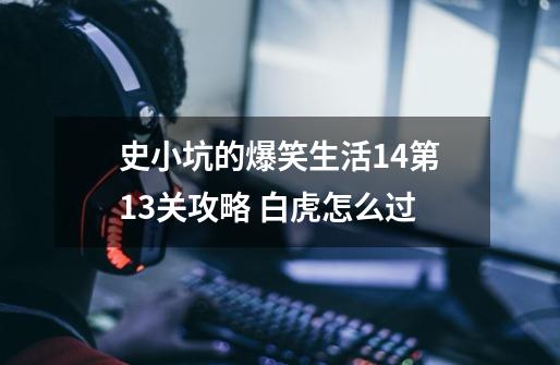 史小坑的爆笑生活14第13关攻略 白虎怎么过-第1张-游戏信息-龙启网