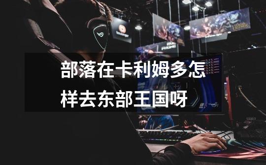 部落在卡利姆多怎样去东部王国呀-第1张-游戏信息-龙启网