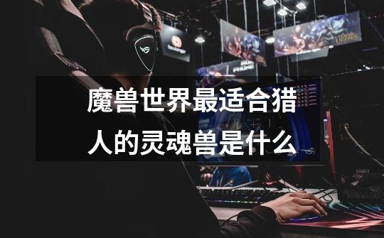 魔兽世界最适合猎人的灵魂兽是什么-第1张-游戏信息-龙启网