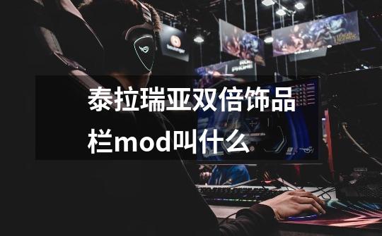 泰拉瑞亚双倍饰品栏mod叫什么-第1张-游戏信息-龙启网