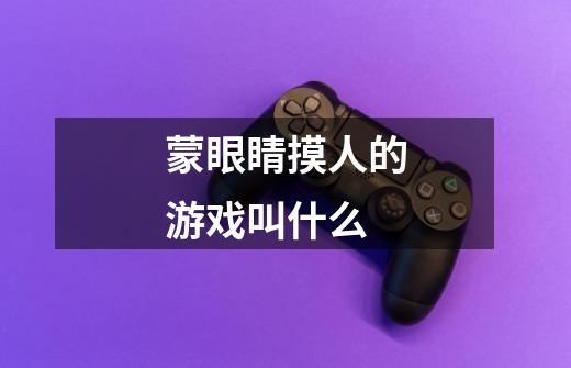 蒙眼睛摸人的游戏叫什么-第1张-游戏信息-龙启网