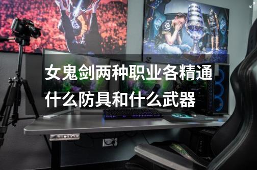 女鬼剑两种职业各精通什么防具和什么武器-第1张-游戏信息-龙启网