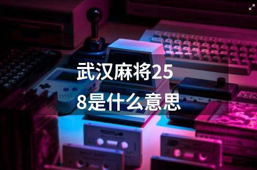 武汉麻将258是什么意思-第1张-游戏信息-龙启网