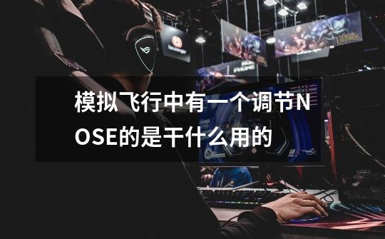 模拟飞行中有一个调节NOSE的是干什么用的-第1张-游戏信息-龙启网