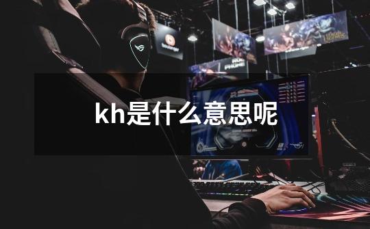 kh是什么意思呢-第1张-游戏信息-龙启网
