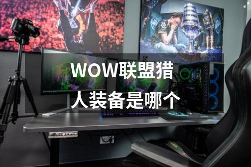 WOW联盟猎人装备是哪个-第1张-游戏信息-龙启网