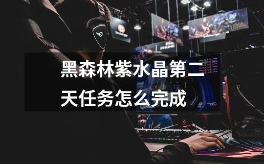 黑森林紫水晶第二天任务怎么完成-第1张-游戏信息-龙启网