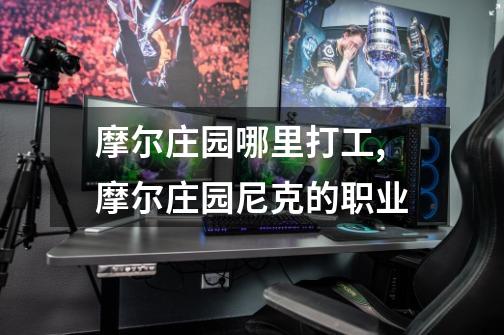 摩尔庄园哪里打工,摩尔庄园尼克的职业-第1张-游戏信息-龙启网