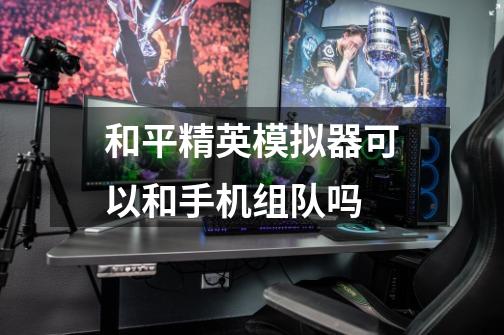 和平精英模拟器可以和手机组队吗-第1张-游戏信息-龙启网