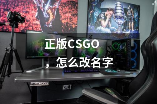 正版CSGO,怎么改名字-第1张-游戏信息-龙启网