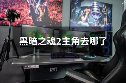 黑暗之魂2主角去哪了-第1张-游戏信息-龙启网