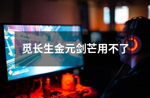 觅长生金元剑芒用不了-第1张-游戏信息-龙启网