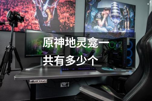 原神地灵龛一共有多少个-第1张-游戏信息-龙启网