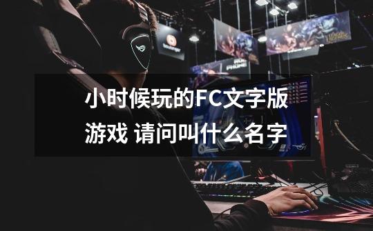 小时候玩的FC文字版游戏 请问叫什么名字-第1张-游戏信息-龙启网