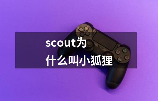 scout为什么叫小狐狸-第1张-游戏信息-龙启网