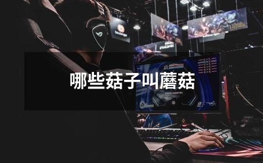 哪些菇子叫蘑菇-第1张-游戏信息-龙启网