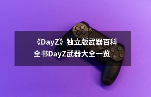 《DayZ》独立版武器百科全书DayZ武器大全一览-第1张-游戏信息-龙启网