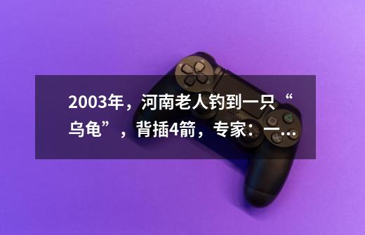 2003年,河南老人钓到一只“乌龟”,背插4箭,专家:一杆钓18亿-第1张-游戏信息-龙启网
