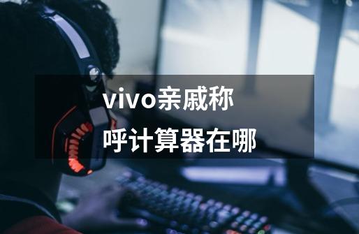 vivo亲戚称呼计算器在哪-第1张-游戏信息-龙启网