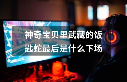 神奇宝贝里武藏的饭匙蛇最后是什么下场-第1张-游戏信息-龙启网