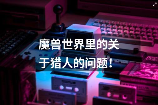 魔兽世界里的关于猎人的问题!-第1张-游戏信息-龙启网