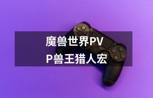 魔兽世界PVP兽王猎人宏-第1张-游戏信息-龙启网