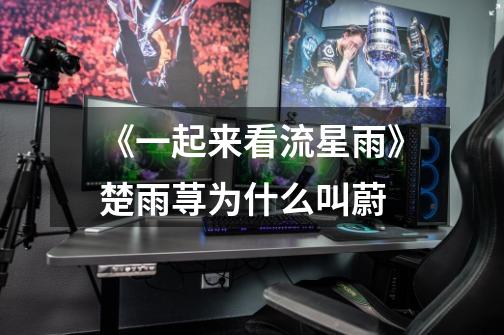 《一起来看流星雨》楚雨荨为什么叫蔚-第1张-游戏信息-龙启网