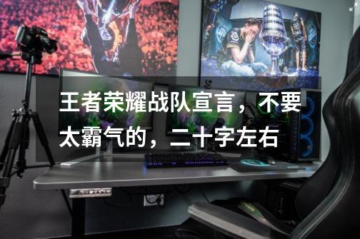 王者荣耀战队宣言，不要太霸气的，二十字左右-第1张-游戏信息-龙启网
