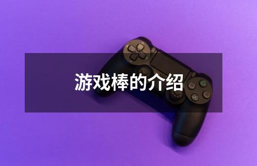 游戏棒的介绍-第1张-游戏信息-龙启网