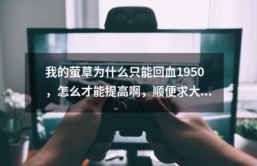 我的萤草为什么只能回血1950,怎么才能提高啊,顺便求大神指点一下我的茨木童子-第1张-游戏信息-龙启网