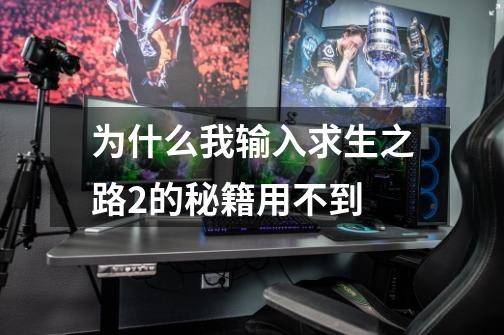 为什么我输入求生之路2的秘籍用不到-第1张-游戏信息-龙启网