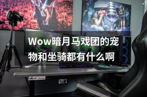 Wow暗月马戏团的宠物和坐骑都有什么啊-第1张-游戏信息-龙启网