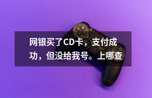 网银买了CD卡,支付成功,但没给我号。上哪查-第1张-游戏信息-龙启网