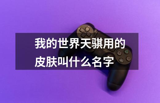 我的世界天骐用的皮肤叫什么名字-第1张-游戏信息-龙启网