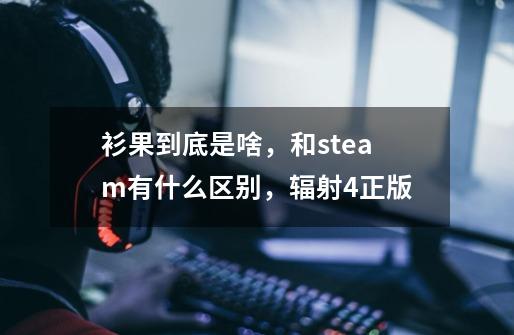 衫果到底是啥,和steam有什么区别,辐射4正版-第1张-游戏信息-龙启网