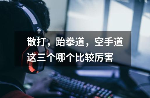 散打,跆拳道,空手道这三个哪个比较厉害-第1张-游戏信息-龙启网