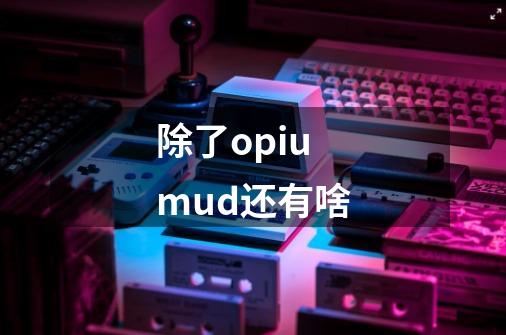 除了opiumud还有啥-第1张-游戏信息-龙启网