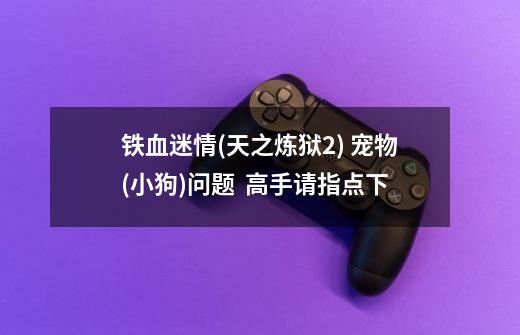 铁血迷情(天之炼狱2) 宠物(小狗)问题 高手请指点下-第1张-游戏信息-龙启网