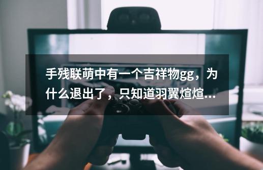 手残联萌中有一个吉祥物gg,为什么退出了,只知道羽翼煊煊是时间问题,那gg是什么原因-第1张-游戏信息-龙启网