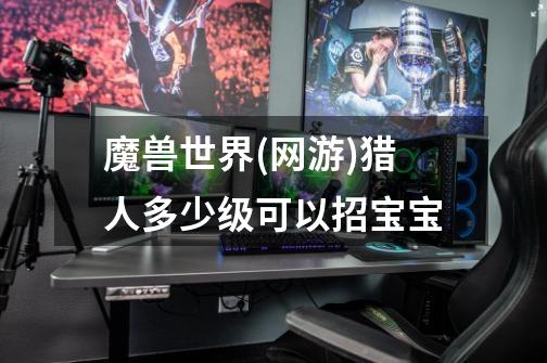 魔兽世界(网游)猎人多少级可以招宝宝-第1张-游戏信息-龙启网