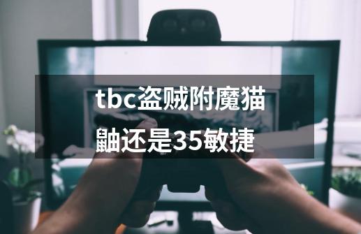 tbc盗贼附魔猫鼬还是35敏捷-第1张-游戏信息-龙启网