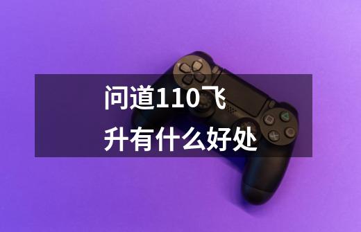 问道110飞升有什么好处-第1张-游戏信息-龙启网