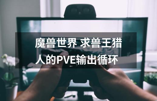 魔兽世界 求兽王猎人的PVE输出循环-第1张-游戏信息-龙启网