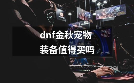 dnf金秋宠物装备值得买吗-第1张-游戏信息-龙启网
