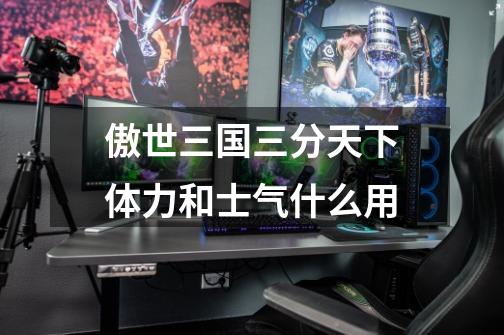傲世三国三分天下体力和士气什么用-第1张-游戏信息-龙启网