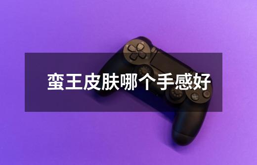 蛮王皮肤哪个手感好-第1张-游戏信息-龙启网